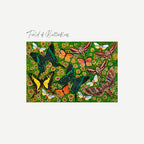 Field of Butterflies Art Print